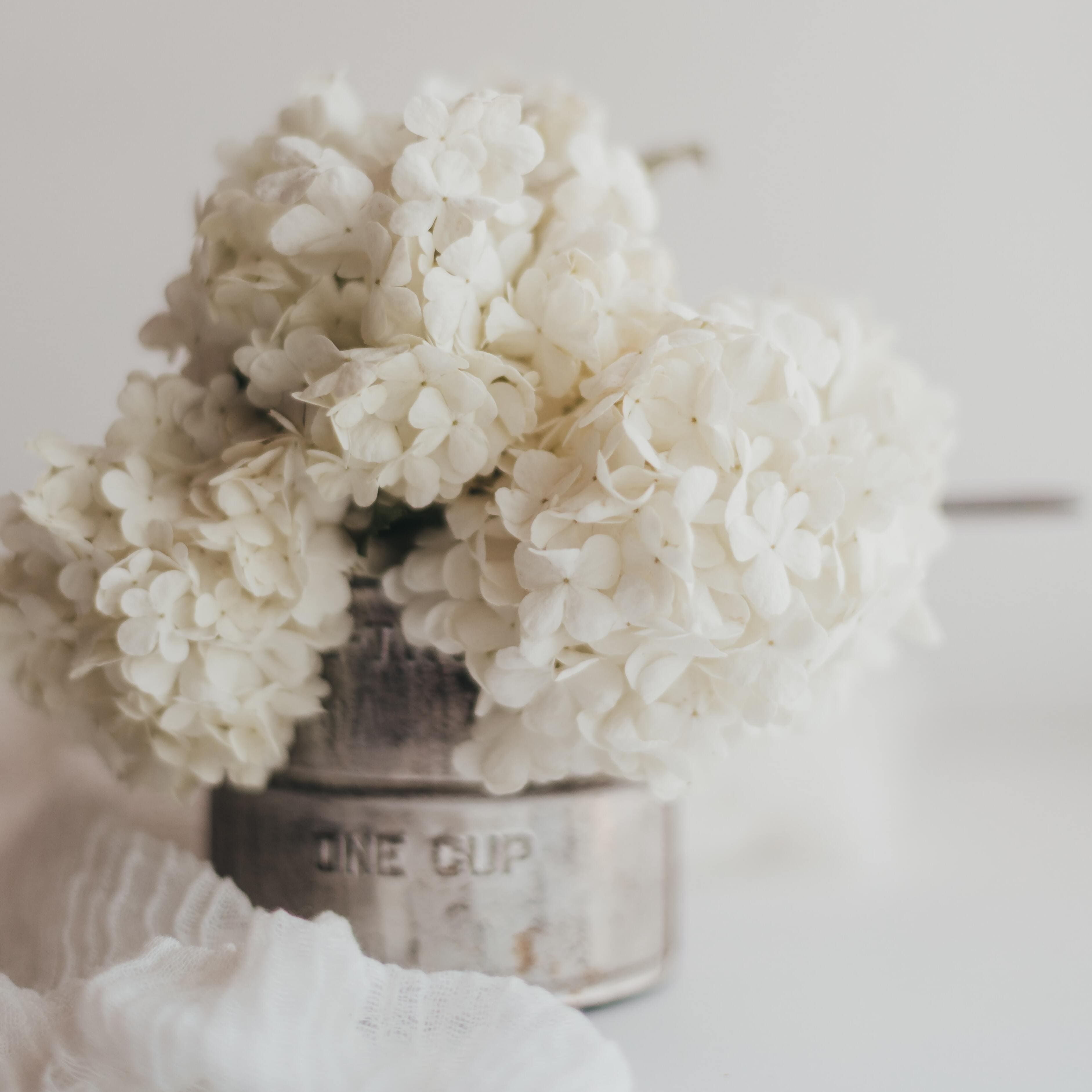hochzeit blumendeko weiß felie wedding planner frankfurt hochzeit blumendeko weiß felie wedding planner frankfurt